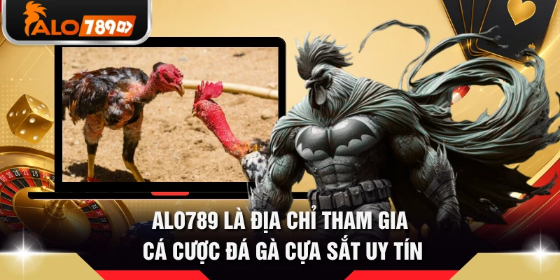 ALO789 là địa chỉ tham gia cá cược đá gà cựa sắt uy tín