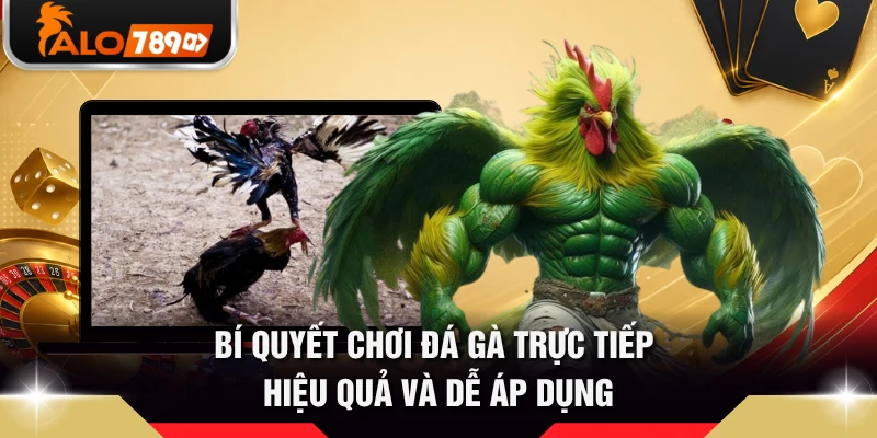 Bí quyết chơi đá gà trực tiếp hiệu quả và dễ áp dụng