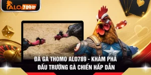 Đá Gà Thomo ALO789 - Khám Phá Đấu Trường Gà Chiến Hấp Dẫn