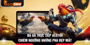 Đá Gà Trực Tiếp ALO789 - Chiêm Ngưỡng Những Pha Đẹp Mắt
