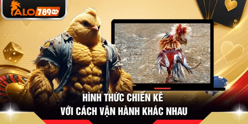 Hình thức chiến kê với cách vận hành khác nhau 