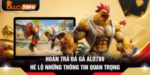 Hoàn Trả Đá Gà ALO789 - Hé Lộ Những Thông Tin Quan Trọng