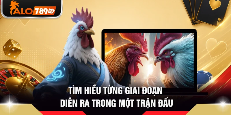 Tìm hiểu từng giai đoạn diễn ra trong một trận đấu 