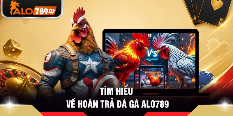 Tìm hiểu về hoàn trả đá gà ALO789  