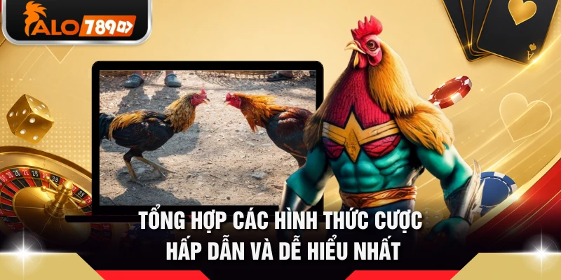 Tổng hợp các hình thức cược hấp dẫn và dễ hiểu nhất