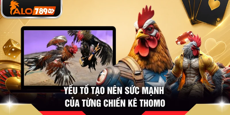 Yếu tố tạo nên sức mạnh của từng chiến kê Thomo